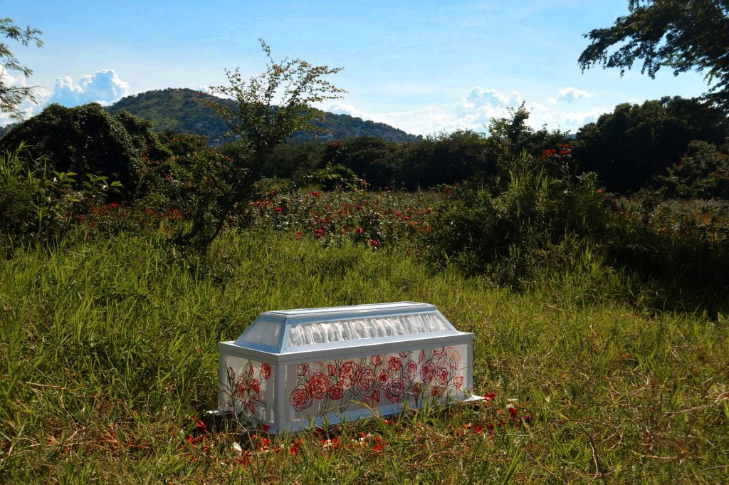 Glass coffin with roses drawn on the sides, set in a corner of a green piece of land, with a hill in the background. Red flowers echo the flowers on the coffin.